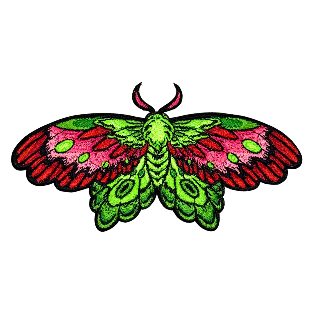 Colorful Creatures