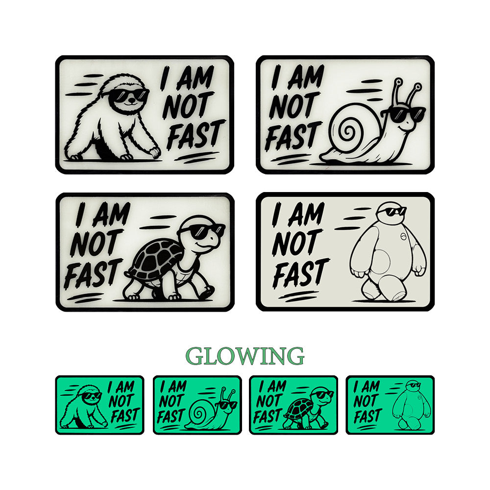I Am Not Fast