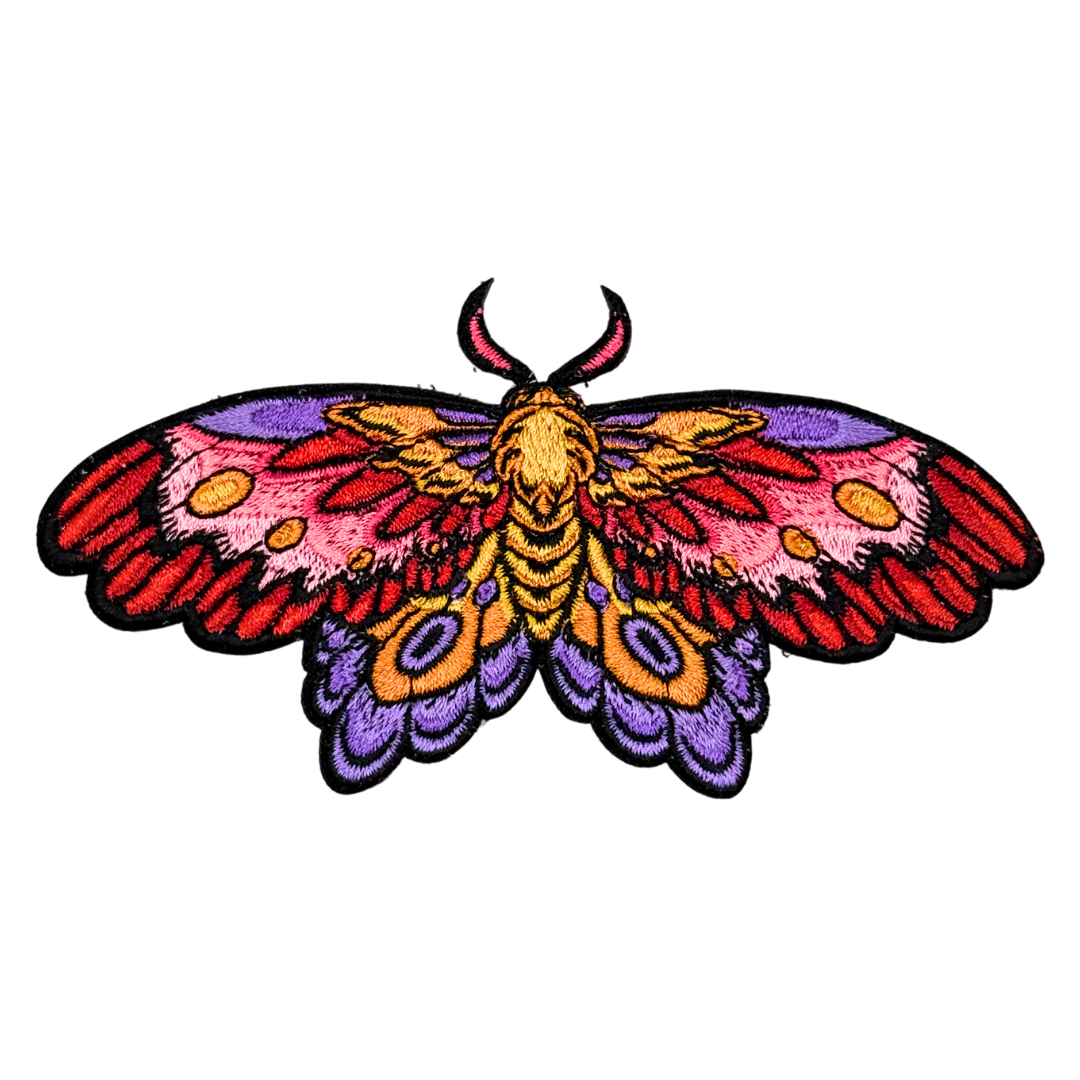Colorful Creatures