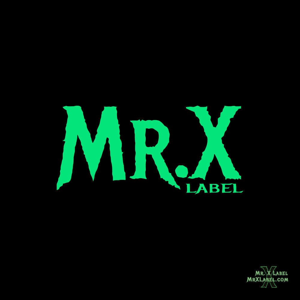 ミスターエックス Mr.X ビジネス書 ミスターエックス Mr.X ビジネス書 ビジネス・経済